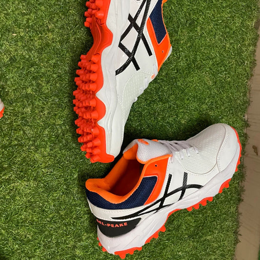 Premium Edition Shoes - Sports Shoes