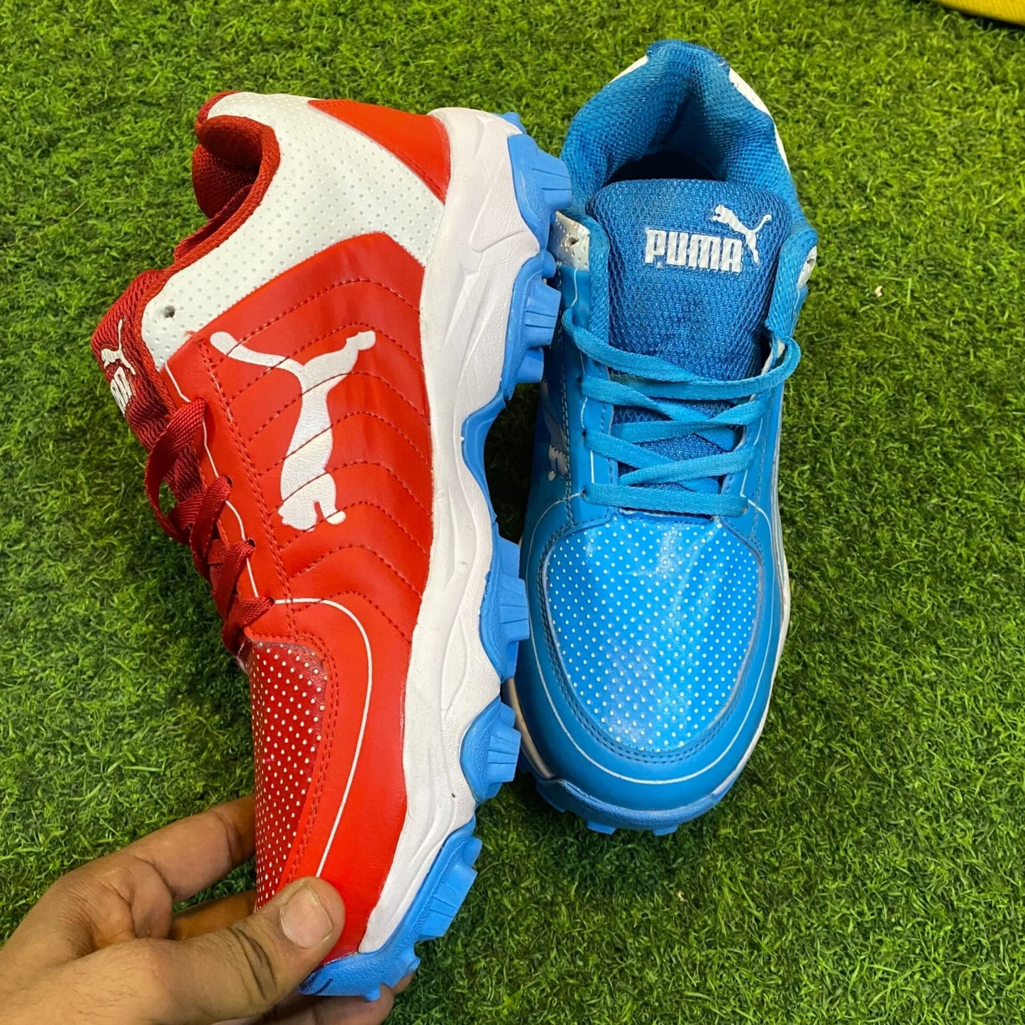 Puma Dual Tone Shoes | Cricket Shoes
