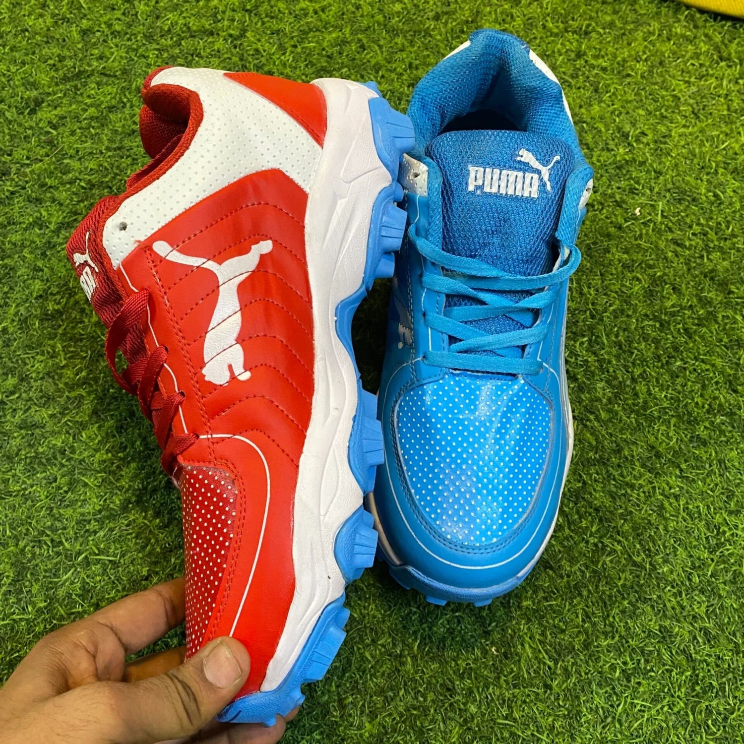 Puma Dual Tone Shoes | Cricket Shoes