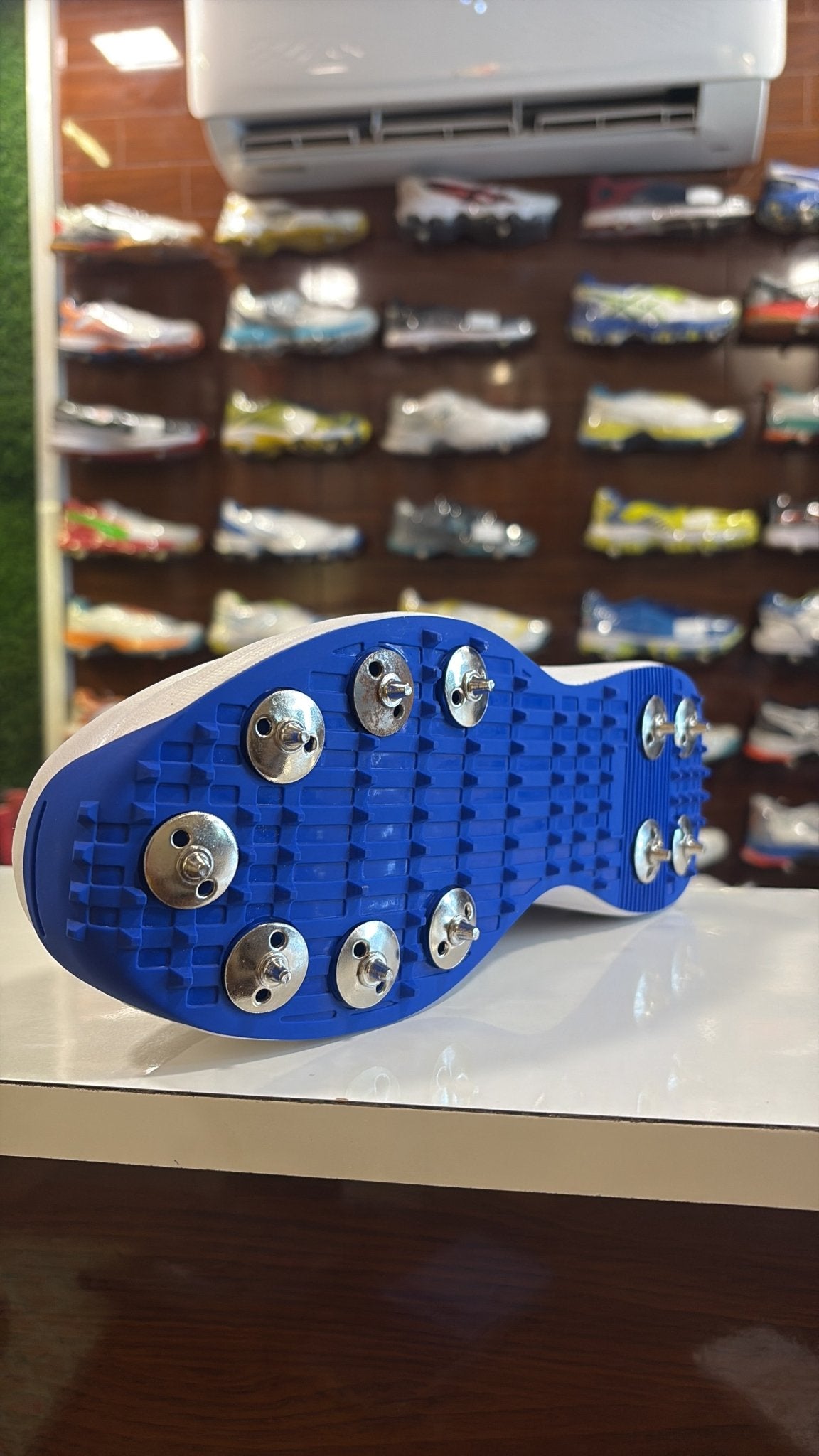 Cricket spikes blue white NBelite - 77sports in